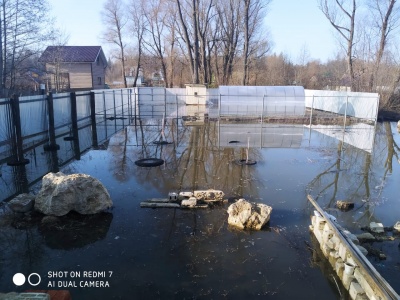 Затопило огород-04.jpg